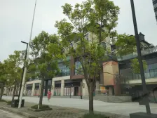 北大资源紫境府二期 5室2厅 南