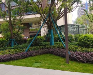 宸光和悦二期 4室2厅 南