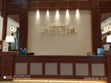 碧桂园精装双拼别墅 边户大院 1楼带卧室