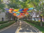 雨伞路