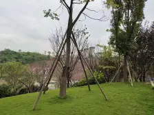 龙兴 碧桂园未来城市二期(B区)三房100万