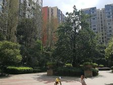 温哥华南苑4室2厅东