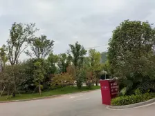 龙兴 碧桂园未来城市一期(A区)三房170万