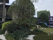 云星钱隆江景电梯房