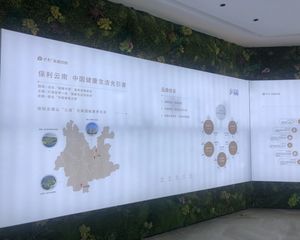 保利和光屿湖1室1厅西