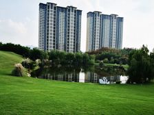 九里峰山别墅,自住精装,业主诚意出售,随时看房