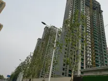 中海不临华夏大道安静舒适毛坯现房