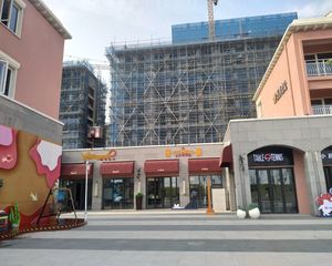 招商碧桂园十里海湾2室1厅南