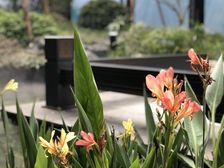 三百余万还有一个慷慨位置一并相给