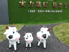 瑞辰金悦府 3室1厅 南 北