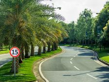 九里峰山独栋别墅诚意出售,随时看房