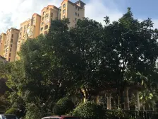 湘潭碧桂园 2室2厅 南