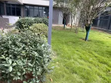 小区环境好出门有公交车购物方便