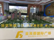 金芙蓉国际一期电梯中层毛坯三房诚心出售