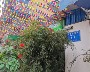 外化成五里墩东街77号 2室2厅 东南