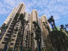 小区环境好,位置好,与胖东来为邻!