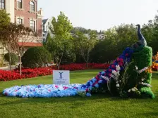 蓝湾庄园 电梯洋房 好楼层好位置 看房方便