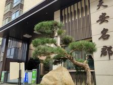 天安名郡6层电梯洋房带80平露台有证有暖可过户