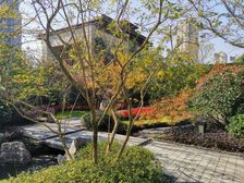 火车站 湘雅医院 市民之家 龙湖 品质小区,叠墅,