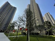 中山融创城3室2厅南