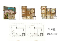 别墅D1建筑面积150㎡