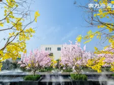 孟津 东方今典·东方府 3室2厅