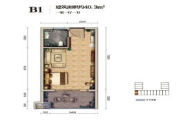 宝峰文苑1室1厅1厨1卫建面40.30㎡