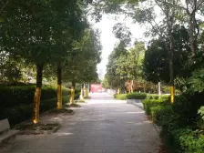 近和平,江声,九华奥园,毛坯三房,户型方正,楼层好