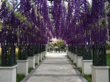 和润新城 11层洋房 单价8000 南北双通透 随意装修