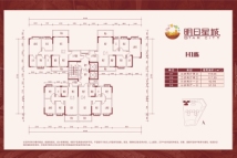 明日星城二期H1栋户型