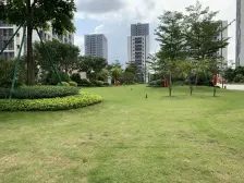 碧桂园苹果 中高层温馨复式 保养新