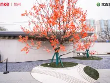 万科星光都会一室一厅.适合小年轻老人居住