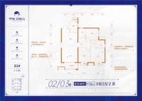 31号栋02/03户型