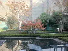 环境优美,居家装修,精装好房,客厅带阳台
