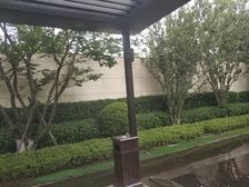 龙湖西府原著3室2厅南