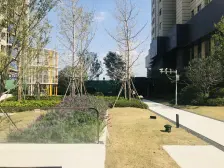 碧桂园凤凰城 3室1厅 南