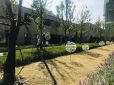 碧桂园凤凰城 3室2厅 南