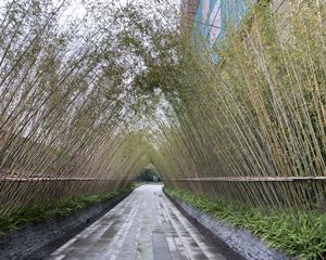 江北精装修的实地看更好