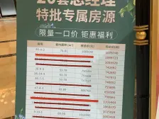 钓鱼嘴半岛 康田栖樾洋房三房142万