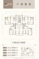 71栋3层平面图