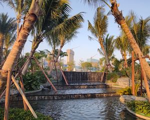 全新一天未入住,南北通透采光好