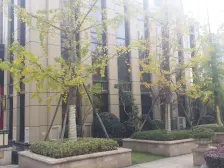 湘潭奥园冠军城 4室2厅 南