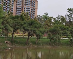 恒大天府城邦 3室1厅 东南 西北