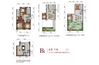 BI越墅下越173赠送276㎡