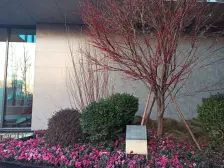 次新楼盘登场,四公里双轻轨旁,小高层拥洋房品质