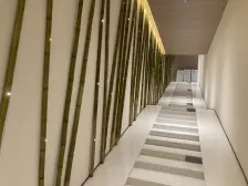 一楼僻静位置 隐私性好 采光也还OK 精装修 很诚意出售