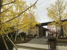 新希望小高层:未住有钥匙可随时看房,位置好近市场