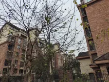 万达龙湖天街旁 出行便利 配套齐全 精装顶跃