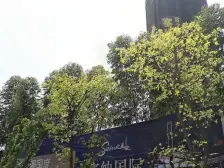 塞纳国际 3室2厅 东南