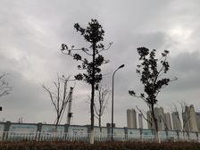 绿地铂澜府3室2厅南